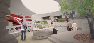 Vote du mode de gestion des cités des vins