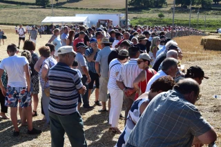Fête de l’agriculture Ambiance de folie à Marly !