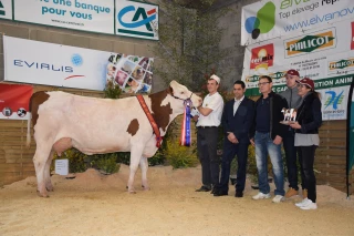 Nouveau succès de la Fête du lait en Bresse en ce lundi de Pâques