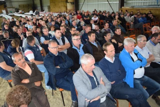 En matière de génétique charolaise, la génomique est en ordre de marche