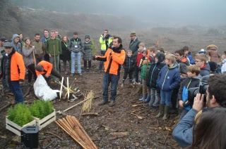 Plantons pour l’avenir Des arbres pour la vie