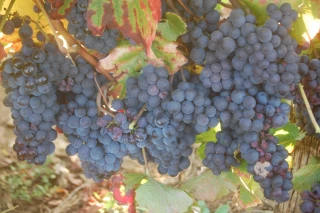 Une année tout simplement exceptionnelle