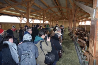 Une année riche en évènements pour le syndicat caprin de Saône-et-Loire