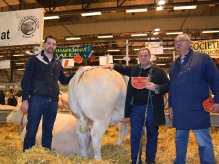 Le concours d’animaux de boucherie d’Autun à son tour touché par la morosité