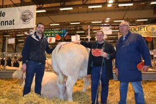 Le concours d’animaux de boucherie d’Autun à son tour touché par la morosité 