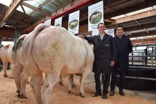 De très bonnes ventes au concours de Saint-Christophe !