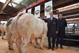 De très bonnes ventes au concours de Saint-Christophe !