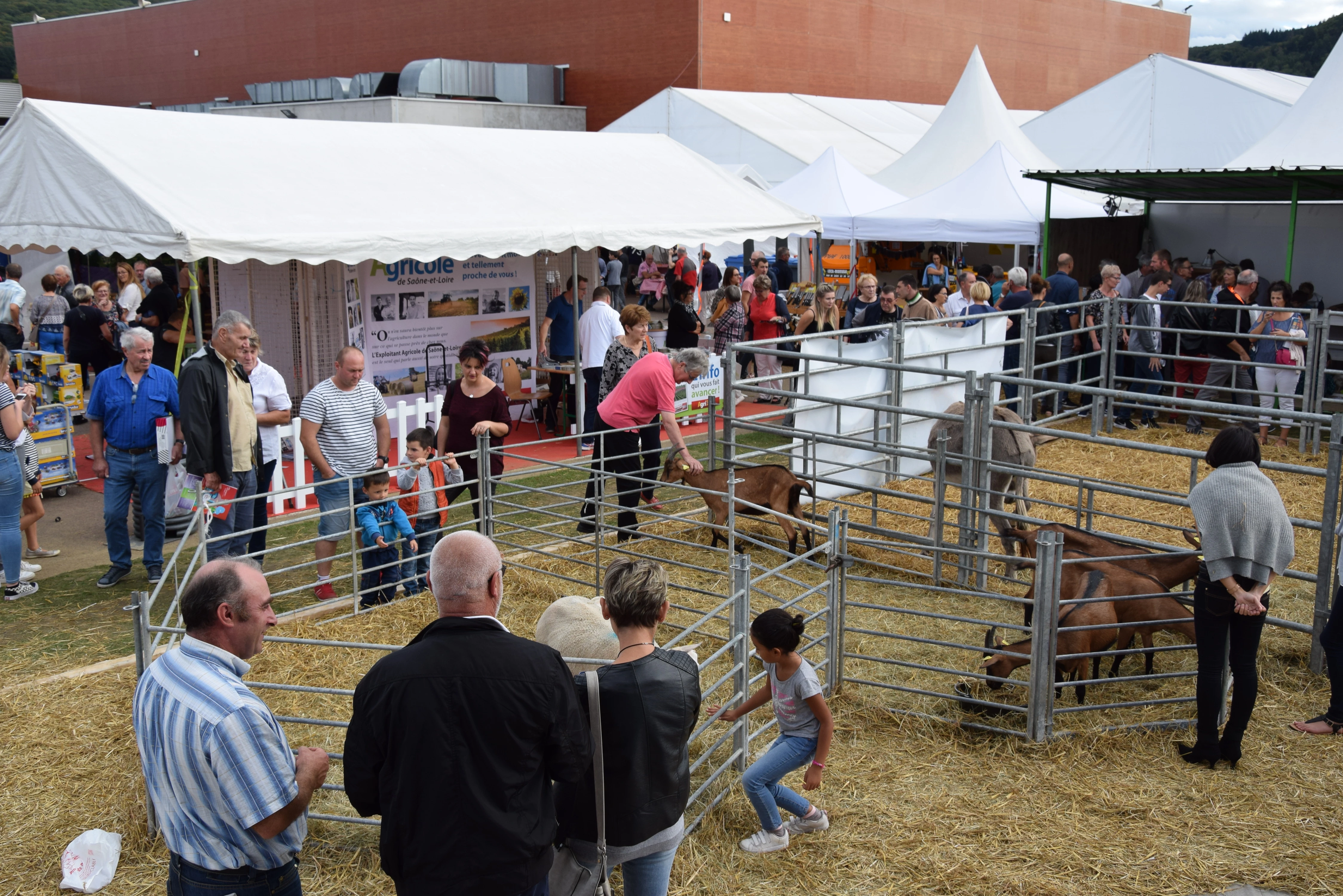 A la foire économique d’Autun, l’agriculture a toujours la vedette !