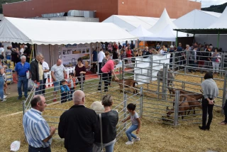 A la foire économique d’Autun, l’agriculture a toujours la vedette !