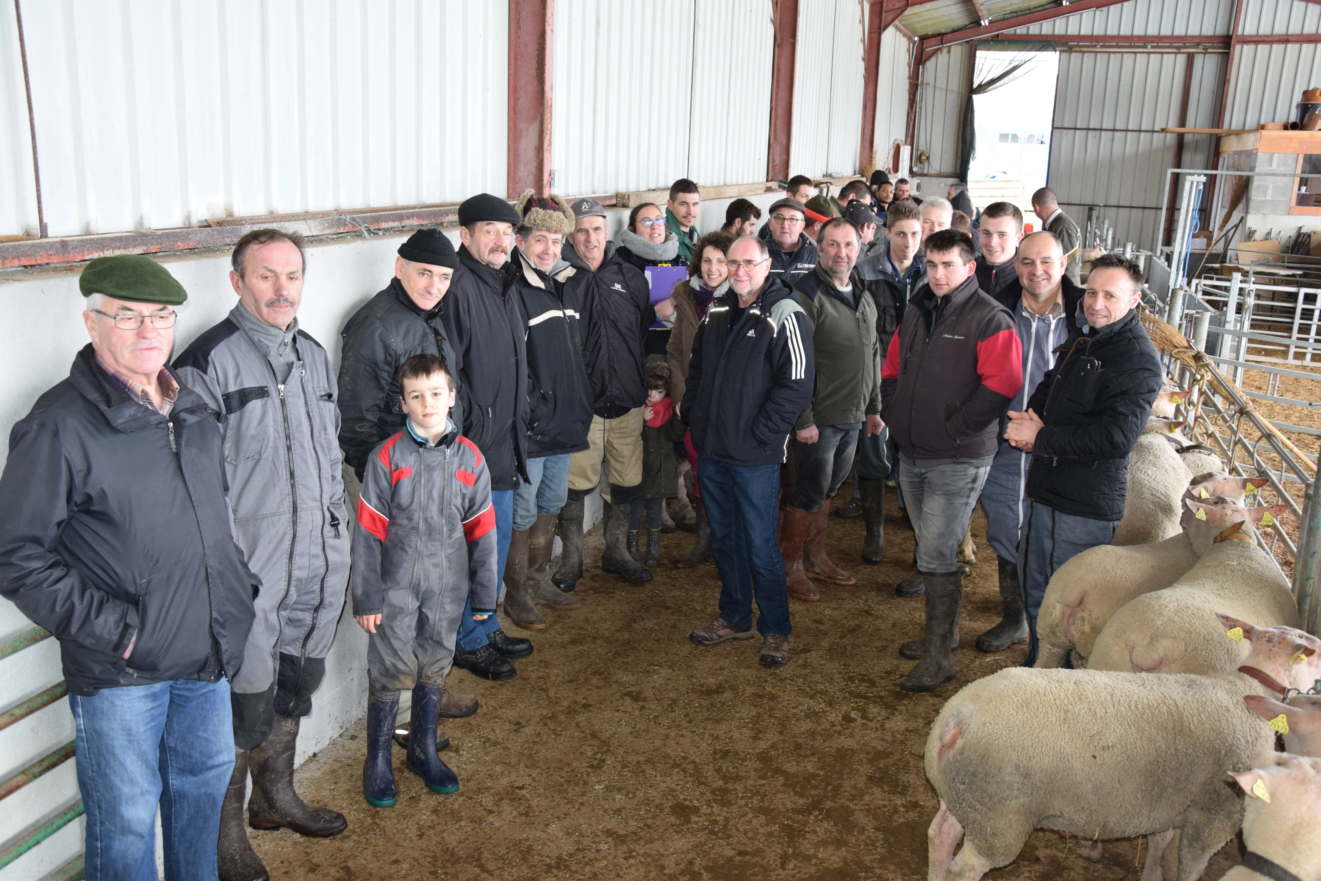 A Paris, au SIA 2018, les éleveurs de Moutons Charollais assureront le show…
