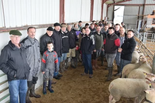 A Paris, au SIA 2018, les éleveurs de Moutons Charollais assureront le show…