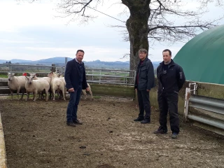 Une délégation chinoise accueillie par l’OS Mouton Charollais