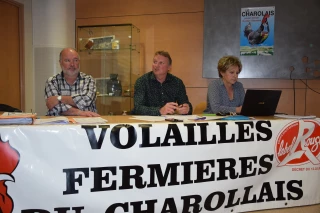 Quarante ans de défis pour les volailles fermières du Charolais 