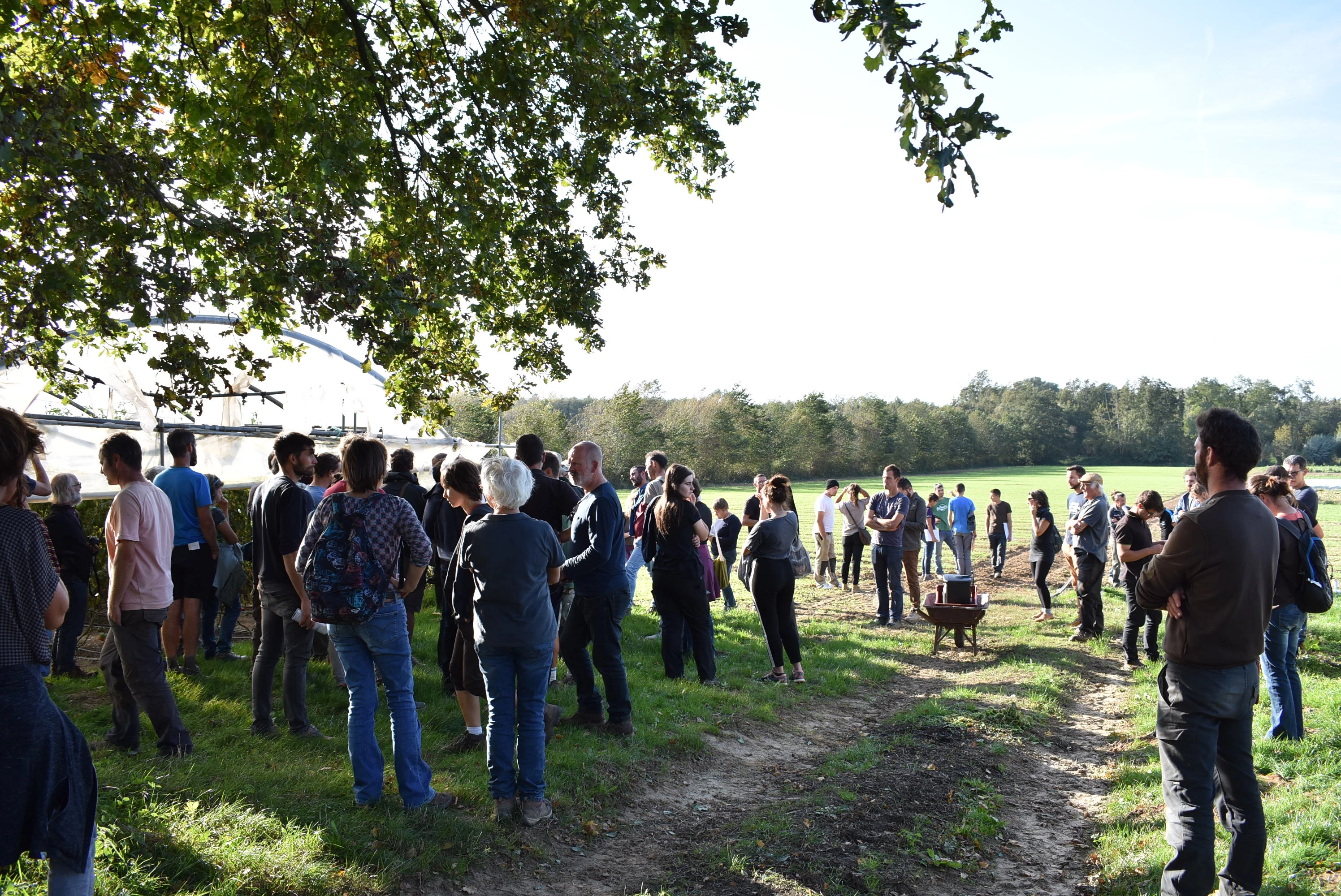 Les biaux jardiniers ont 40 ans