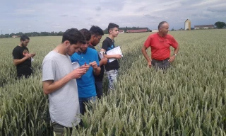 Les apprentis du CFA de Saône-et-Loire à la découverte des systèmes grandes cultures