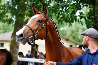 Le grand rendez-vous reporté