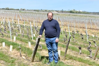Domaine Chêne, au plus près du vin  