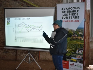 Des solutions pour la filière ovine