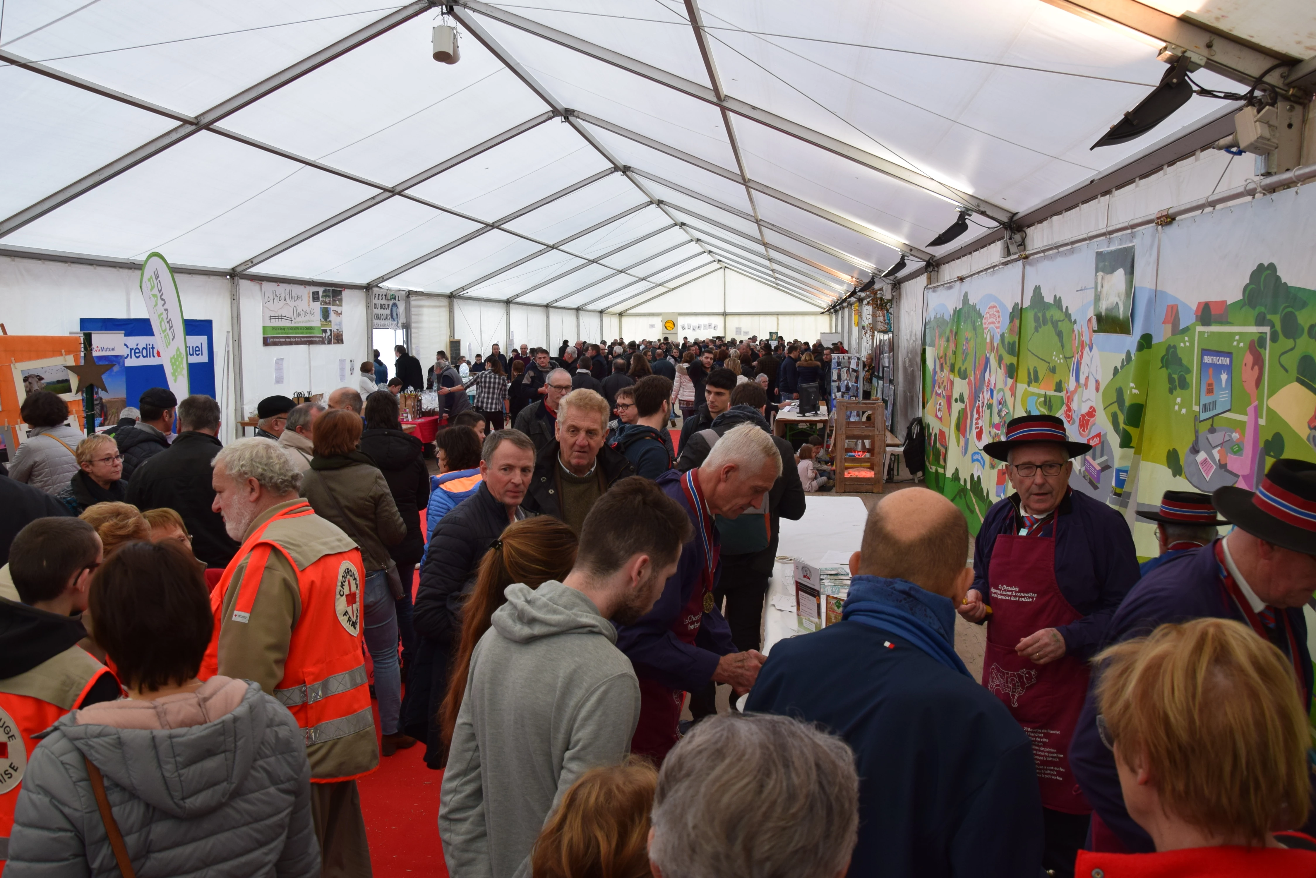 Festival du Boeuf : quand la viande charolaise atteint son public !