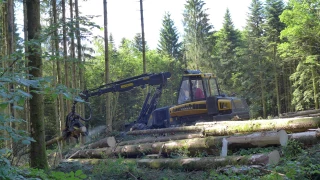 Une vraie stratégie pour promouvoir la filière forêt-bois et ses métiers en Bourgogne - Franche-Comté