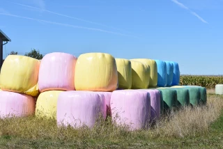 Les agricultrices se mobilisent contre le cancer du sein