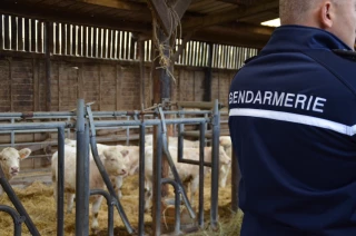 Agribashing : Faire face aux actes délictueux !