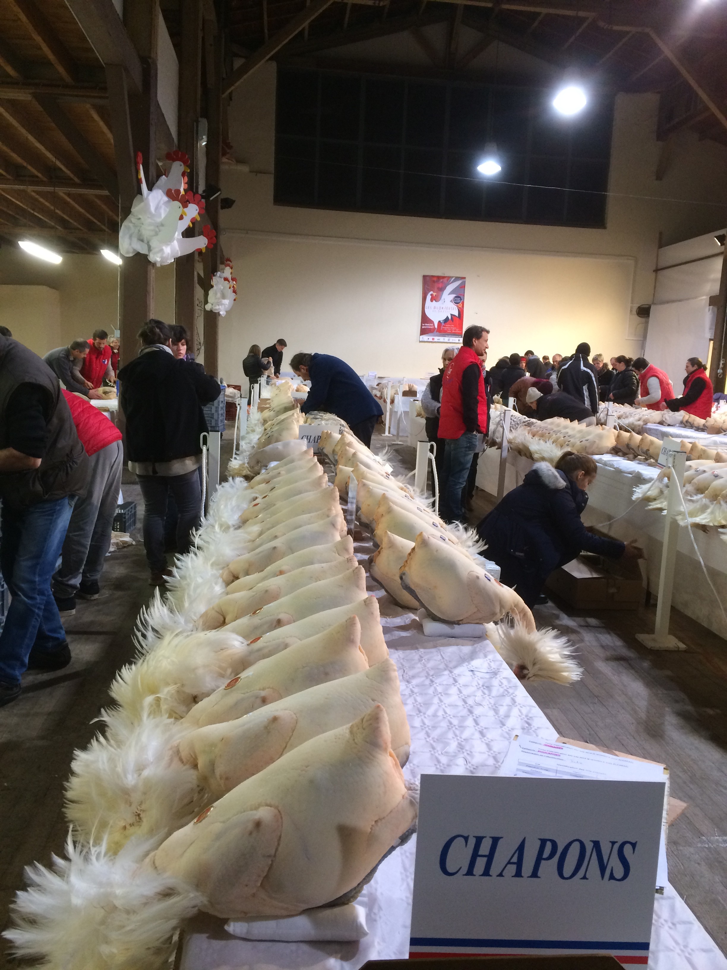 La relève au rendez-vous de la Glorieuse de Bresse à ...