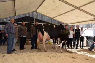 La fédération Holstein Rhône-Alpes réunie en Saône-et-Loire