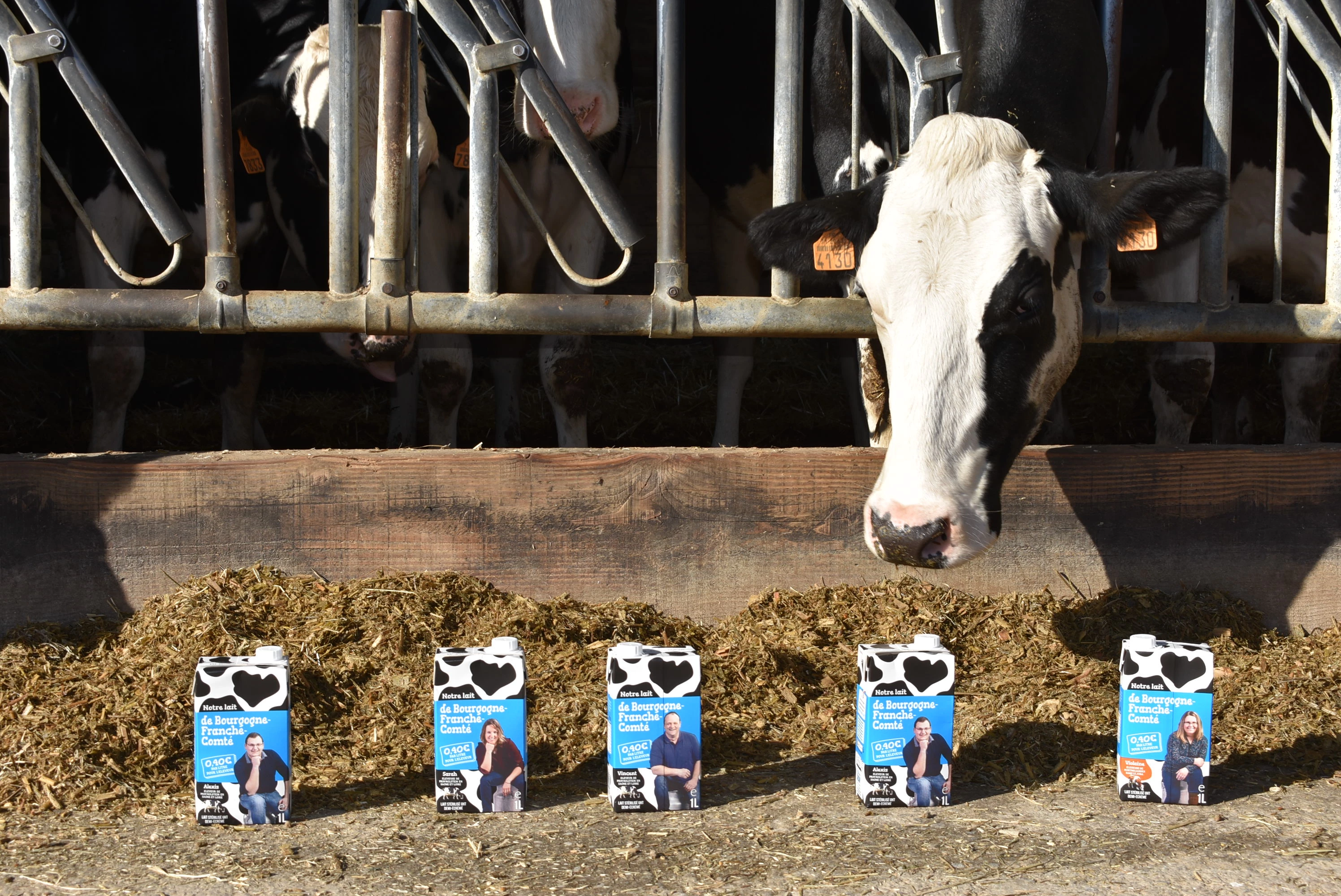 Le premier lait 100 % régional