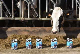 Le premier lait 100 % régional