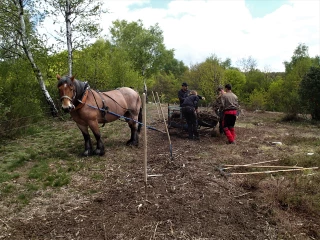 Intervention sur le site d'Uchon par les élèves du lycée de la nature et de la forêt de Velet