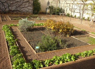 Chantier pédagogique à l’Hôtel Dieu réalisé par les élèves du lycée de l’Horticulture et du Paysage de Tournus