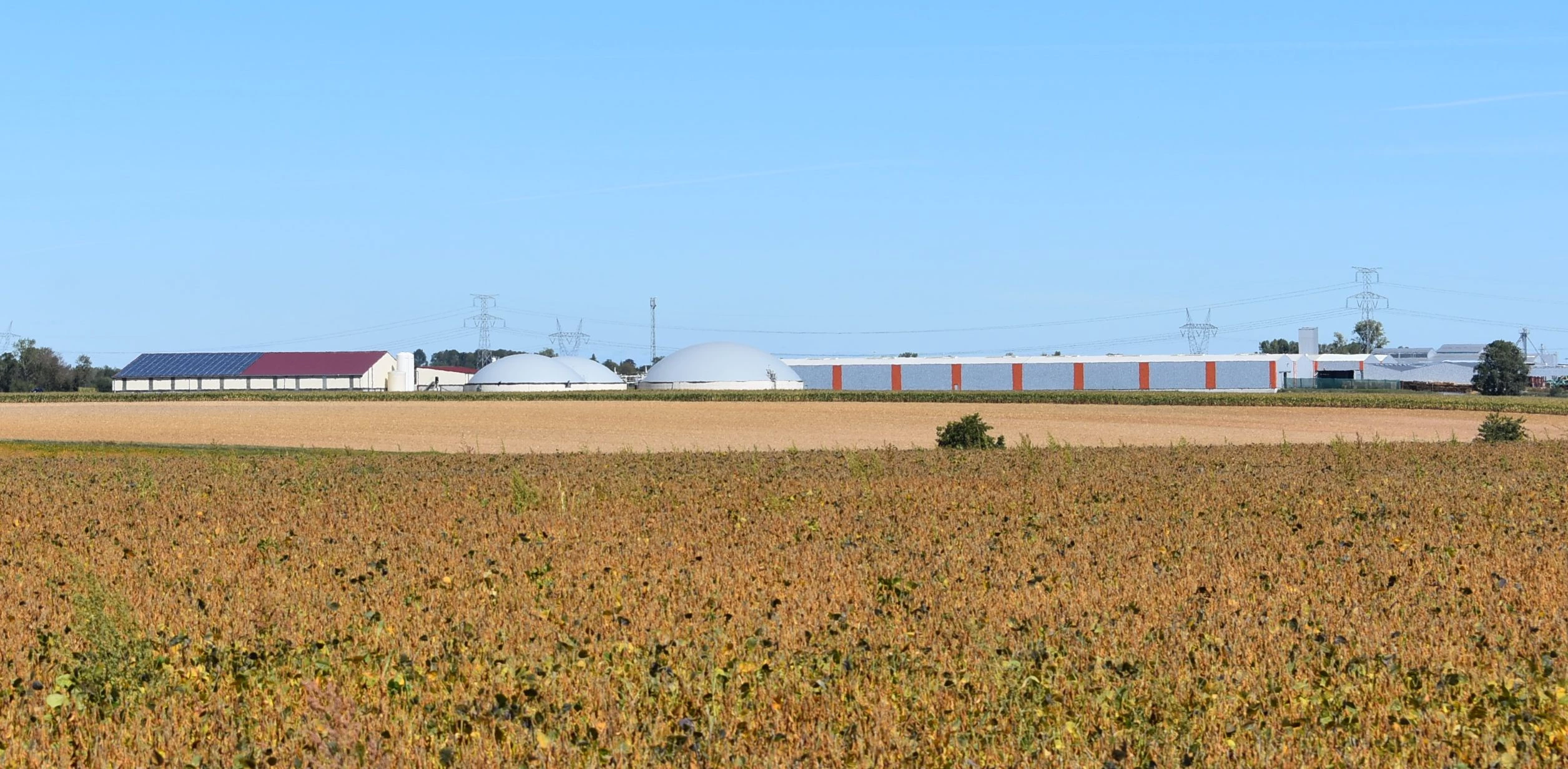 Le biogaz, source potentielle de diversification