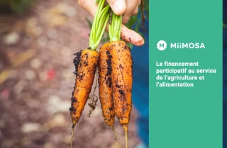 MiiMOSA symbole du succès du financement participatif