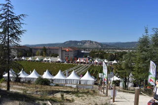 Pistes de transition pour les grandes cultures à Tech&Bio