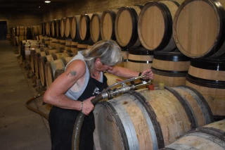 Suite aux vendanges, une vinification qui s'annonce bien