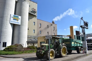 Le bel avenir du soja non-OGM ?
