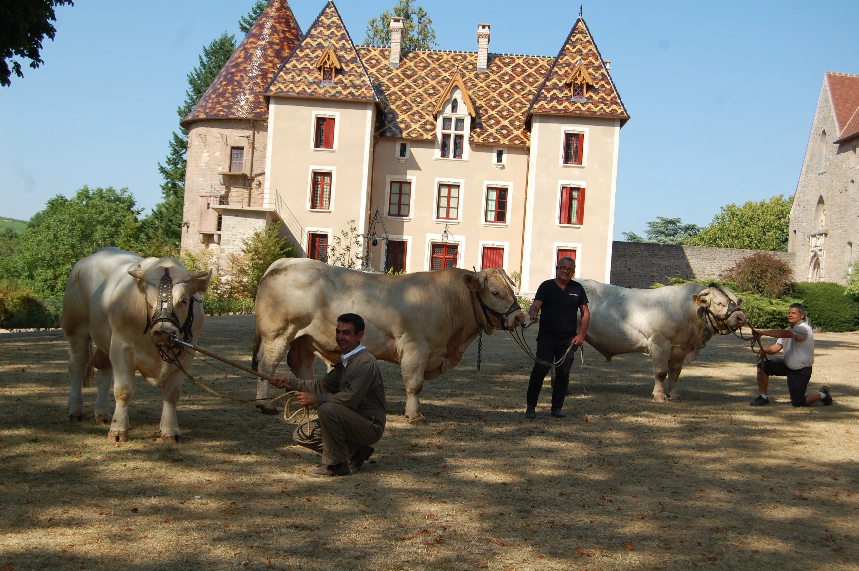 Ouistiti tient ses promesses à Charolais Evaluation !