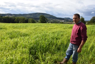 Chez Alain Mazille à Vérosvres, l'autonomie alimentaire est à portée de main
