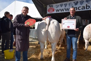 Concours de bovins de boucherie de Romenay : une 70ème édition réussie !
