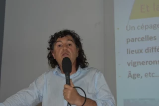 De nombreuses recherches pour lutter contre le dépérissement