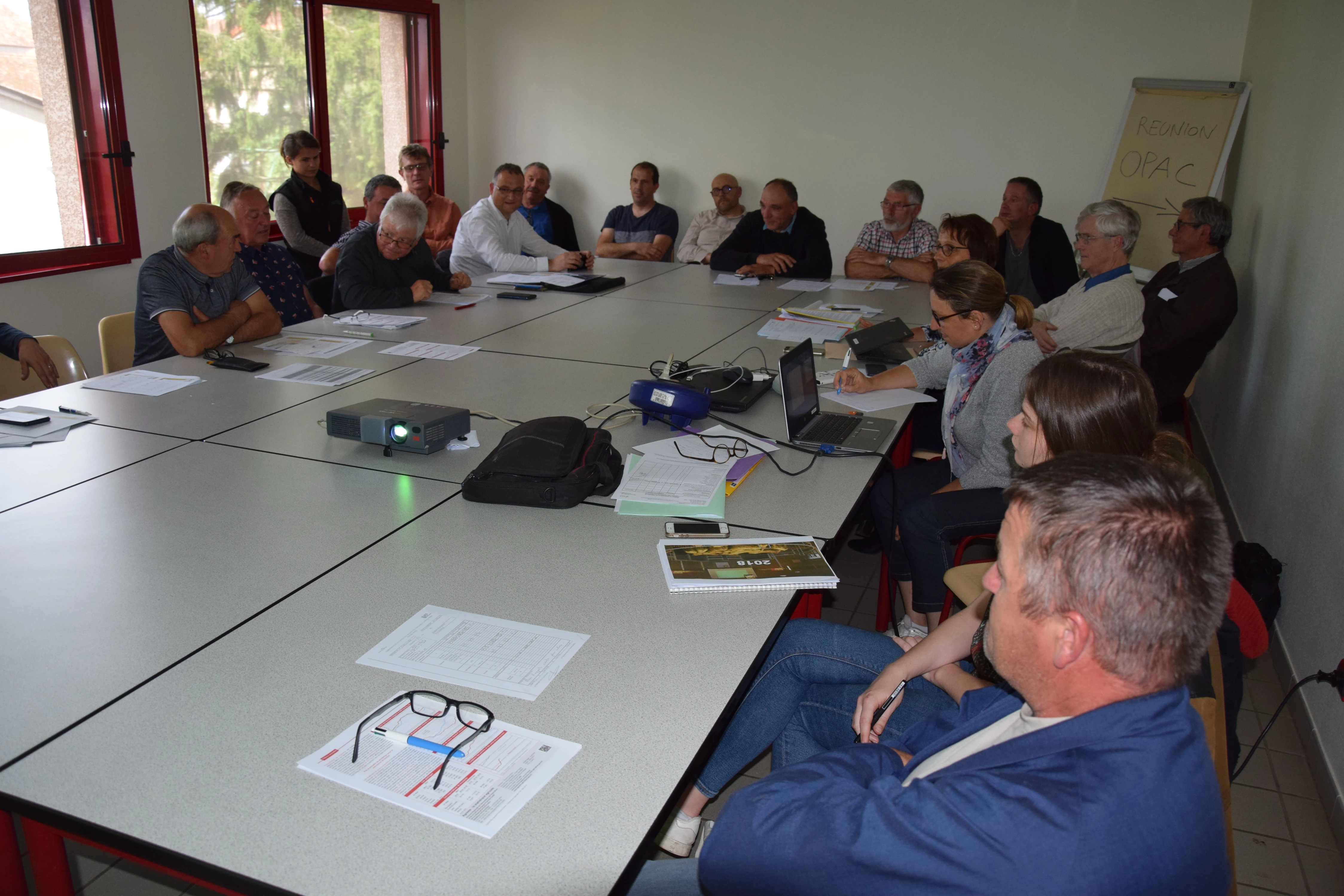 Cotations bovins maigres : une interruption lourde de conséquences