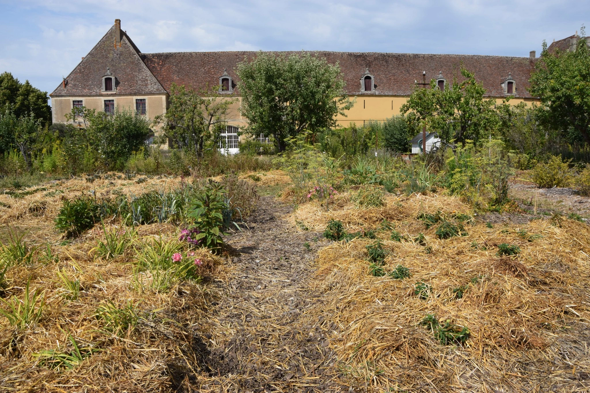 Surprenant potager