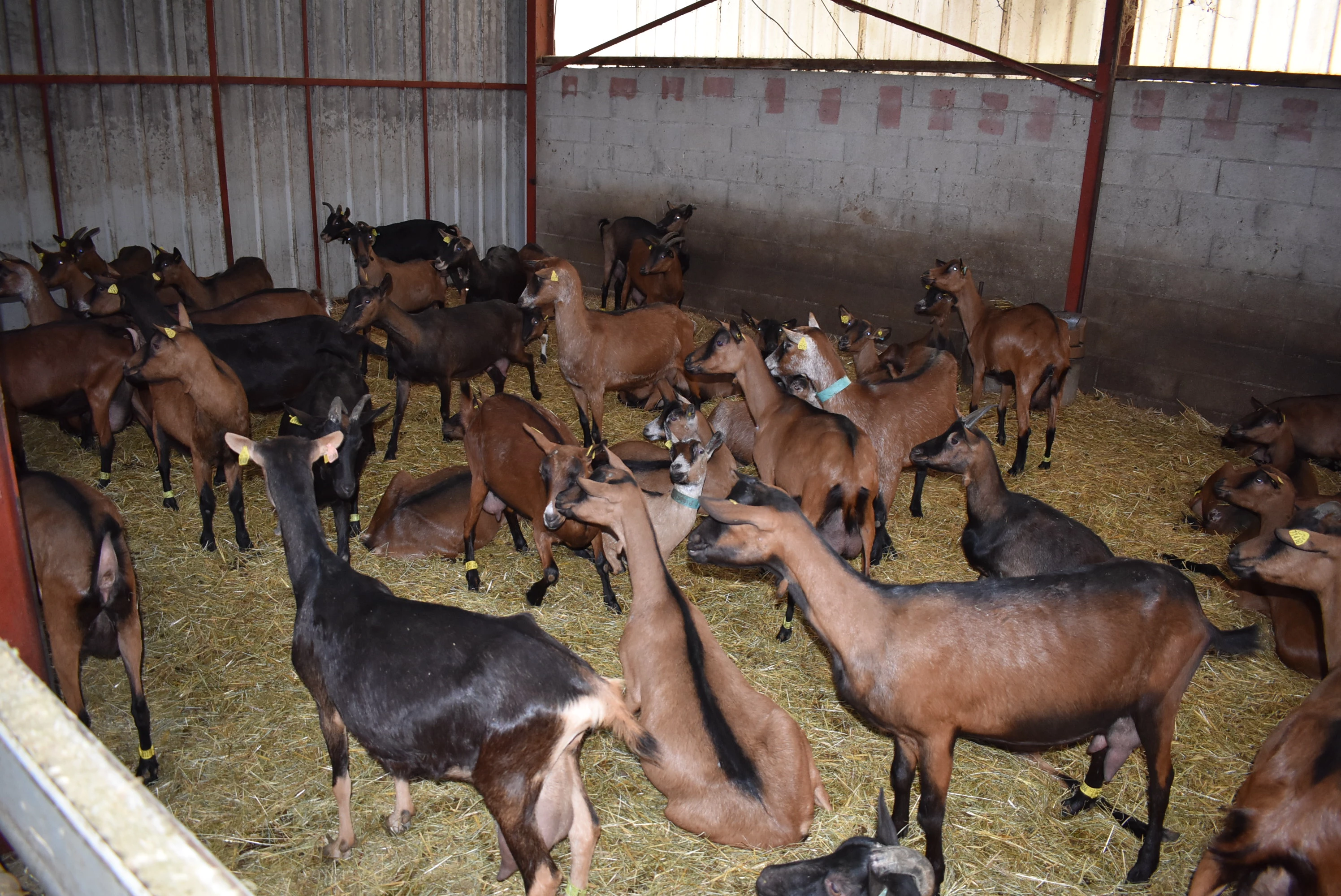 Une conduite récompensée par une certification