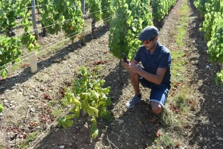 Une application pour faciliter la prospection