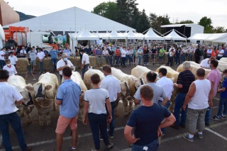 L’édition 2022 sous les meilleurs auspices