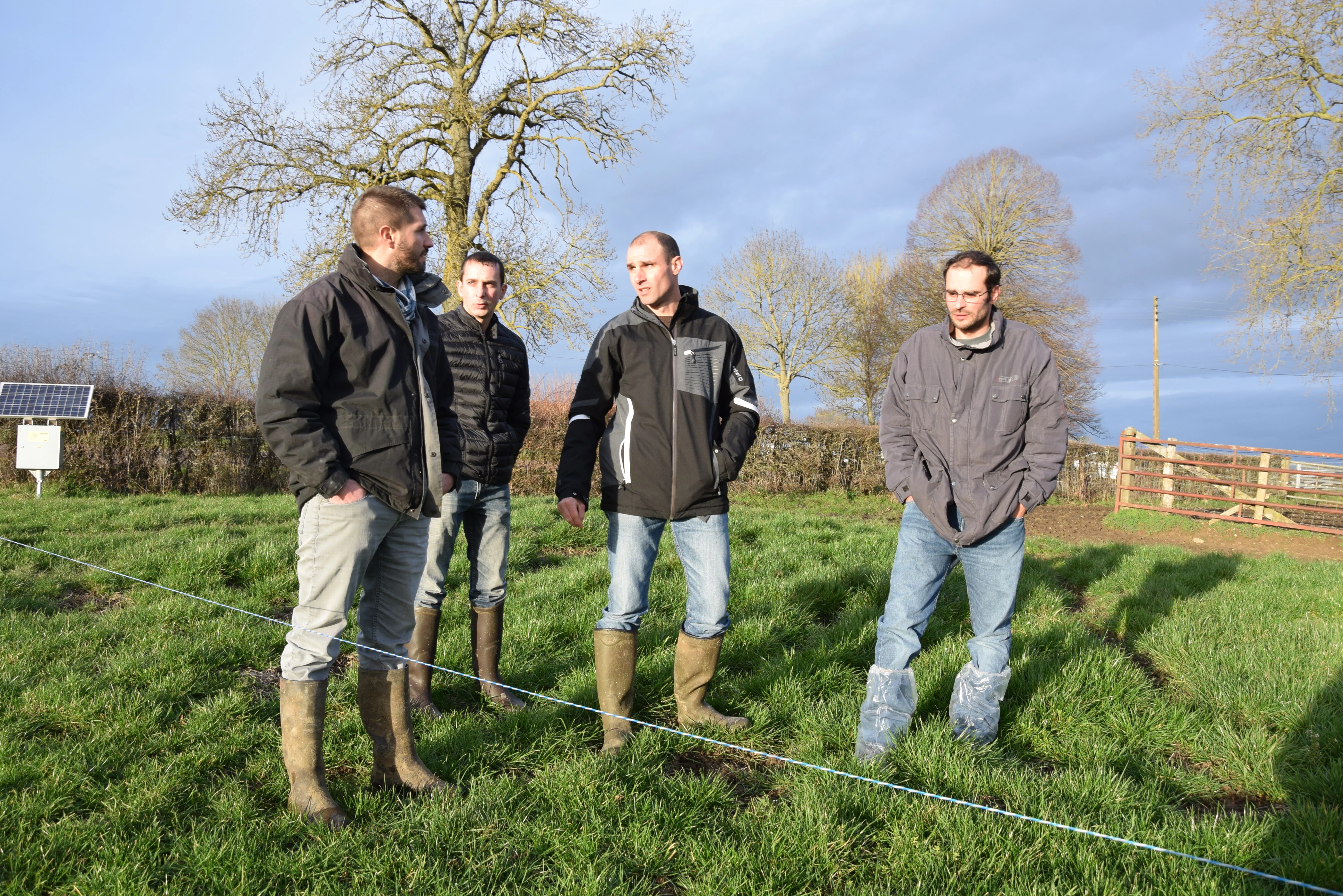 Gaec Dubrion à Ciry-le-Noble : un GMQ de 1.600 grammes par jour rien qu’à l’herbe