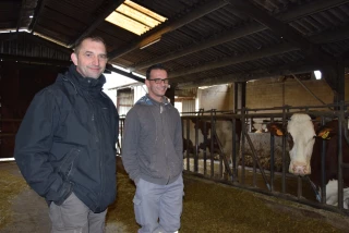 De l’herbe de qualité tous les jours pour les laitières de l'EARL Ferrier