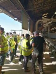 À la découverte de la scierie Ducerf