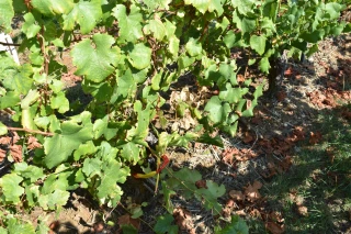 De multiples outils à combiner